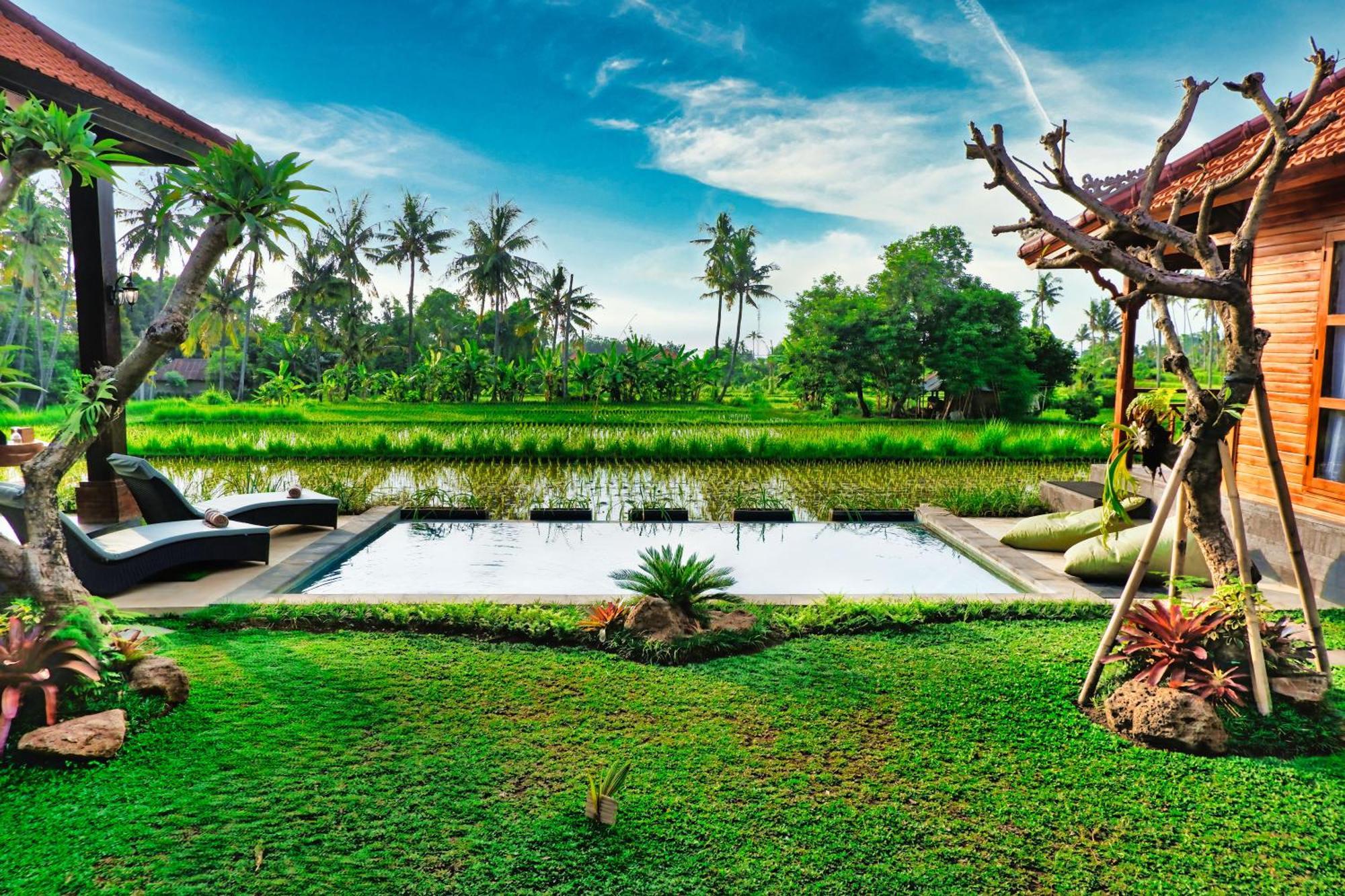 Dapha Eco Lodge Lovina Sukasada Bagian luar foto